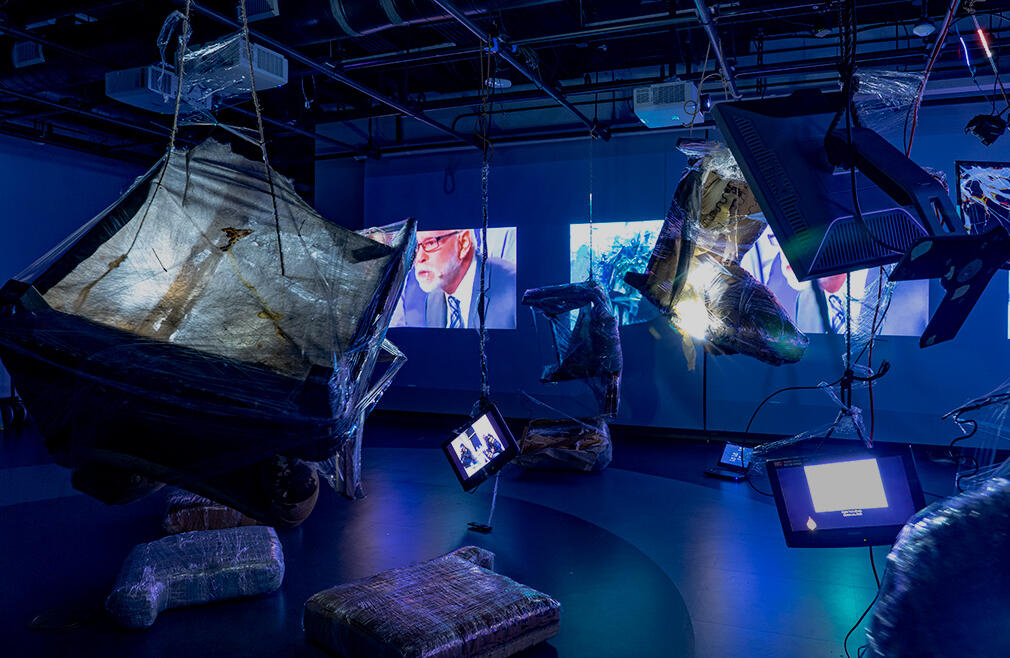 "Domestication II" (2023)